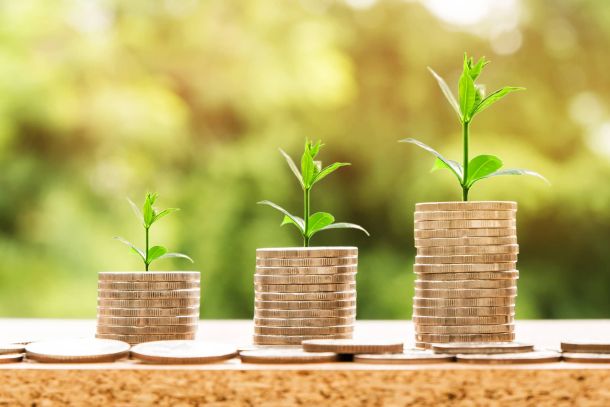 A profitable website